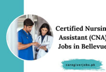 Certified Nursing Assistant (CNA) Jobs in Bellevue