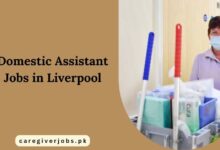 Domestic Assistant Jobs in Liverpool