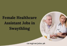 Female Healthcare Assistant Jobs in Swaythling