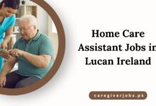 Home Care Assistant Jobs in Lucan Ireland