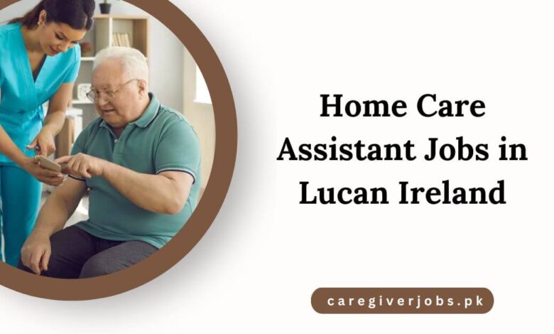 Home Care Assistant Jobs in Lucan Ireland