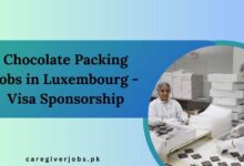 Chocolate Packing Jobs in Luxembourg - Visa Sponsorship