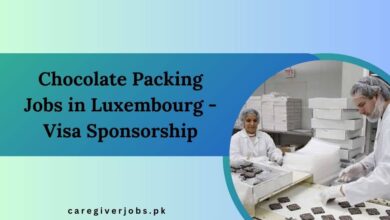 Chocolate Packing Jobs in Luxembourg - Visa Sponsorship