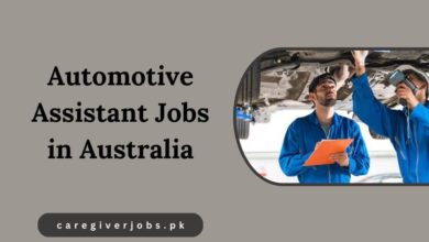 Automotive Assistant Jobs in Australia