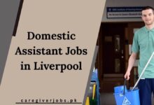 Domestic Assistant Jobs in Liverpool