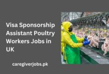 Visa Sponsorship Assistant Poultry Workers Jobs in UK