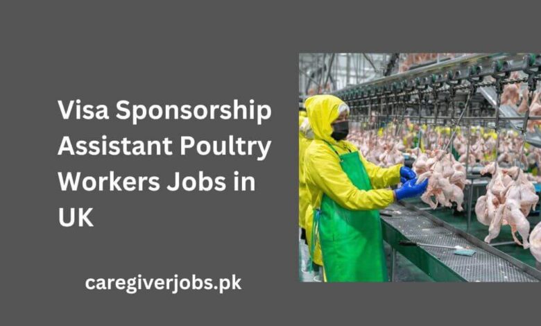 Visa Sponsorship Assistant Poultry Workers Jobs in UK